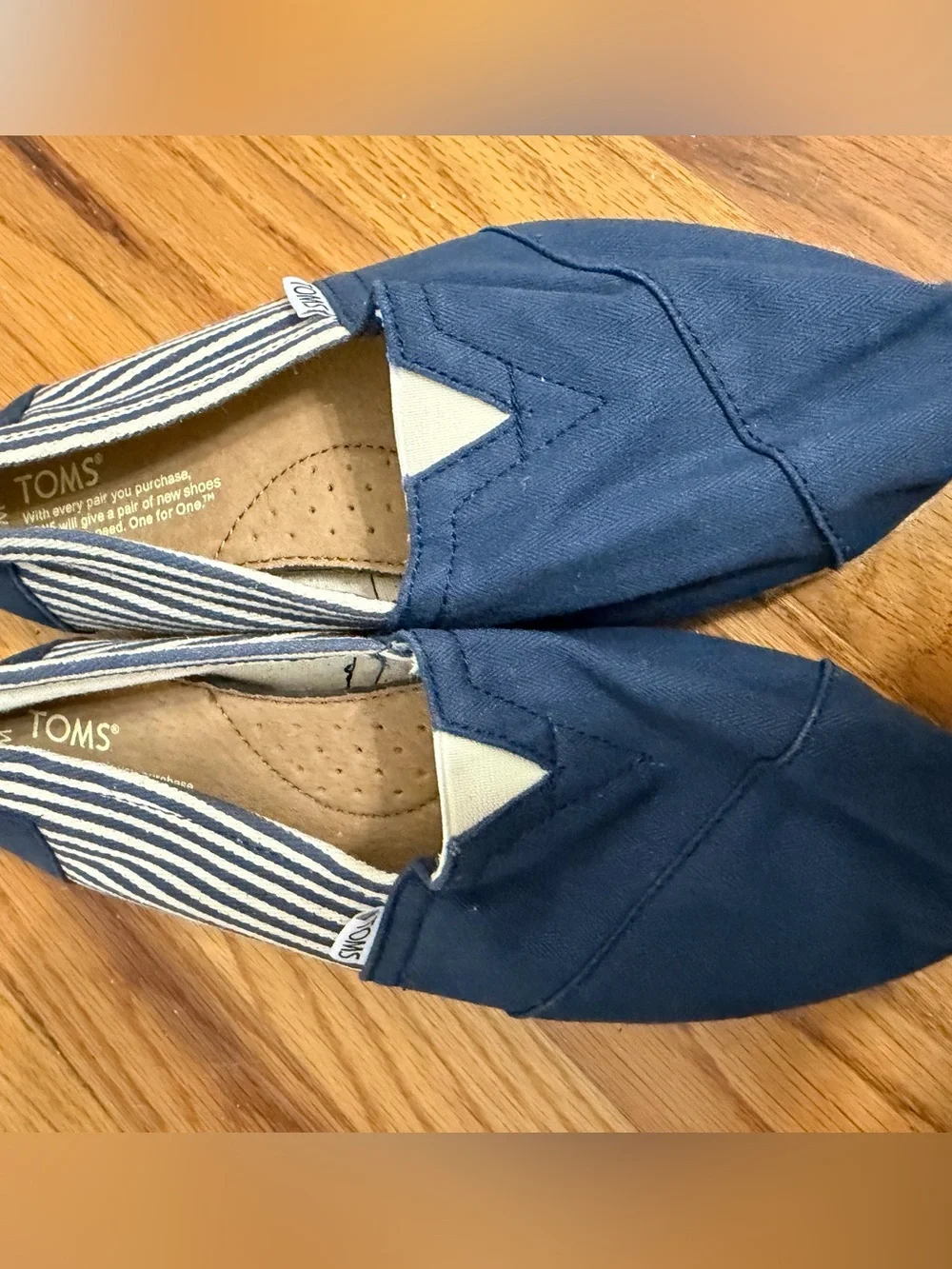 TOMS Navy Canvas Stripe Slip-On Shoe